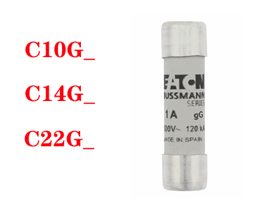 IEC標(biāo)準(zhǔn)10*38mm C10G12 C10G10 C10G1 C10G0.5 C10G4 C10G32 C10G8 C10G6 C10G20 C10G25 C10G16 C10G2